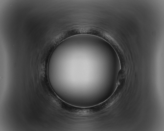 X0000085780497200703231249