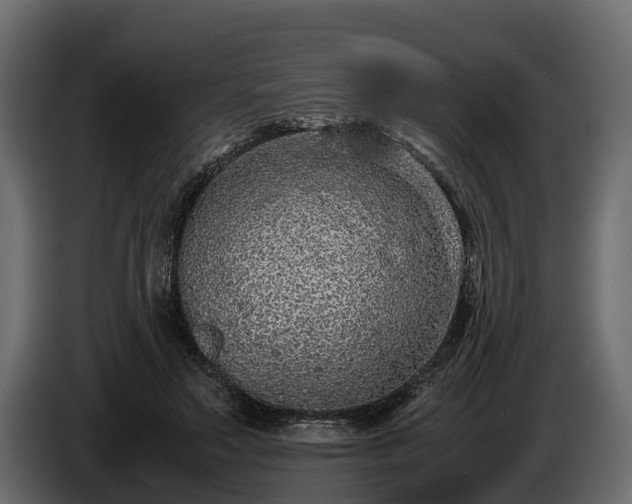 X0000085780499200703231249