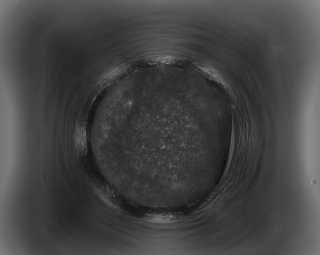 X0000085780500200703231249