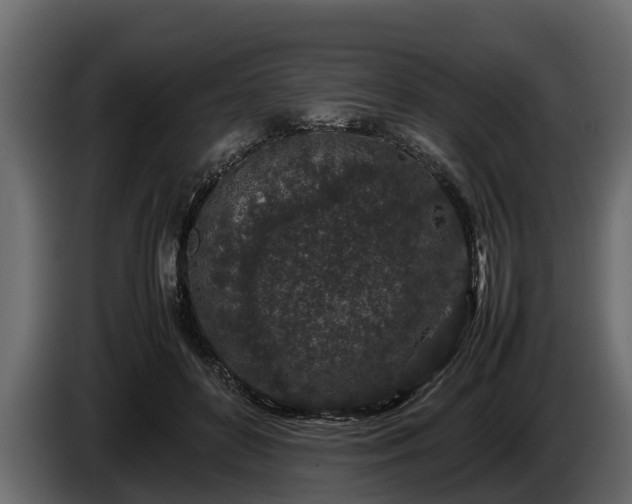 X0000085780504200703231249