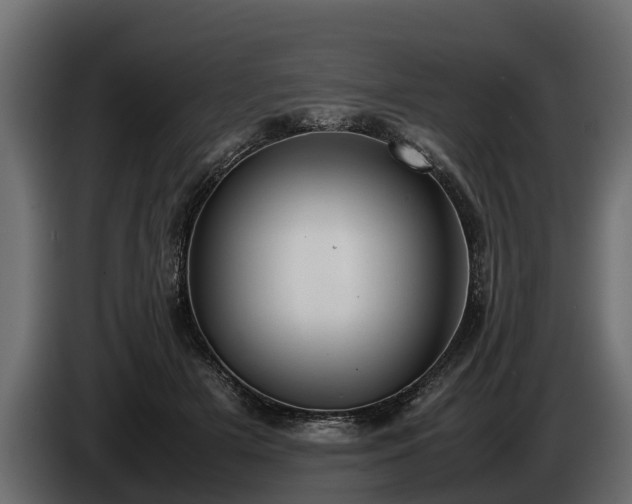 X0000085780505200703231249