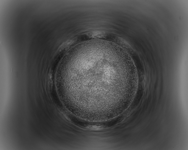 X0000085780506200703231249