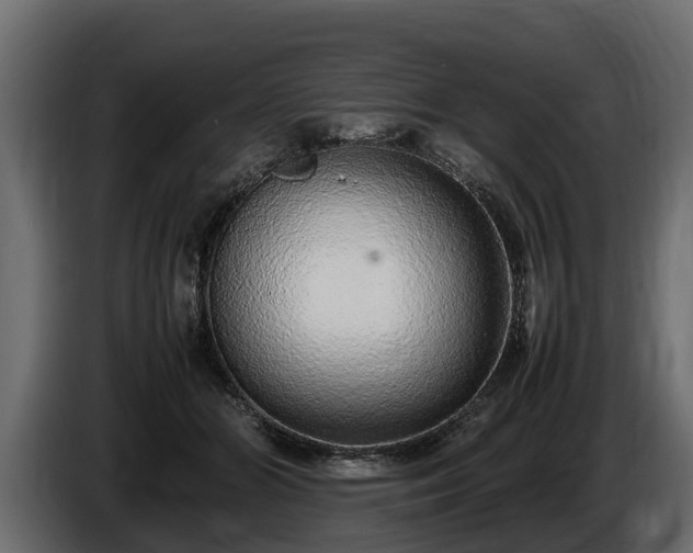 X0000085780510200703231249