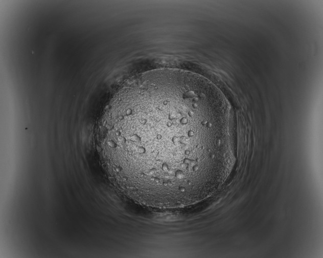 X0000085780511200703231249