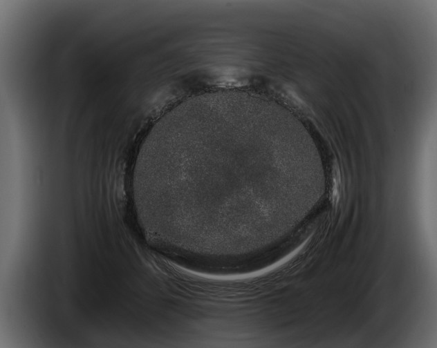 X0000085780512200703231249