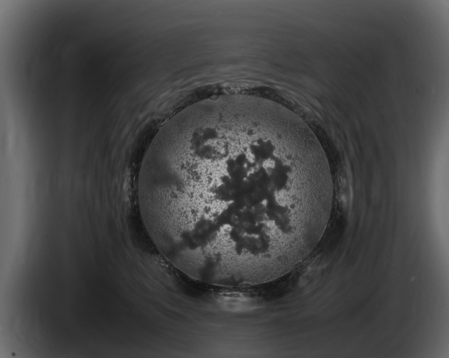 X0000085780519200703231249