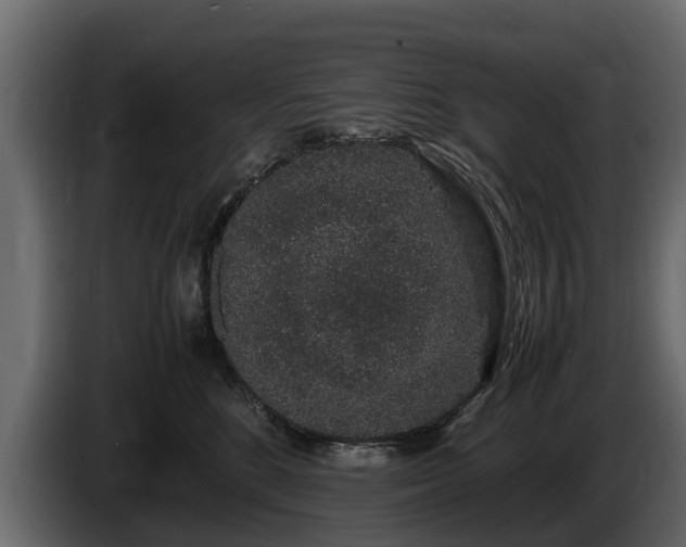 X0000085780520200703231249