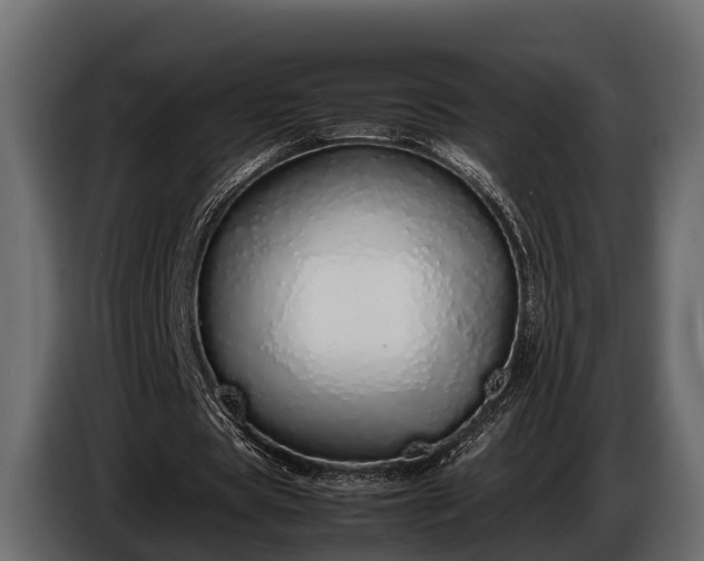 X0000085780529200703231248