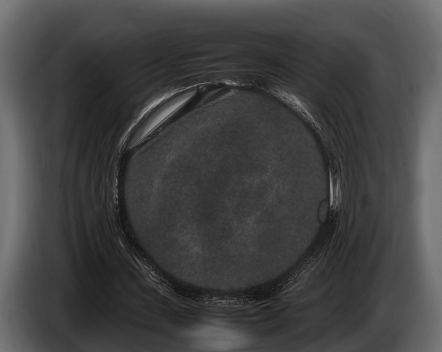 X0000085780531200703231248