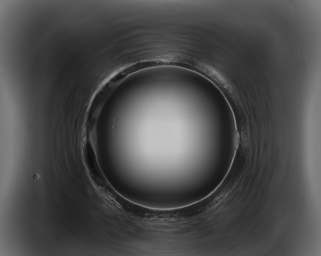 X0000085780532200703231248