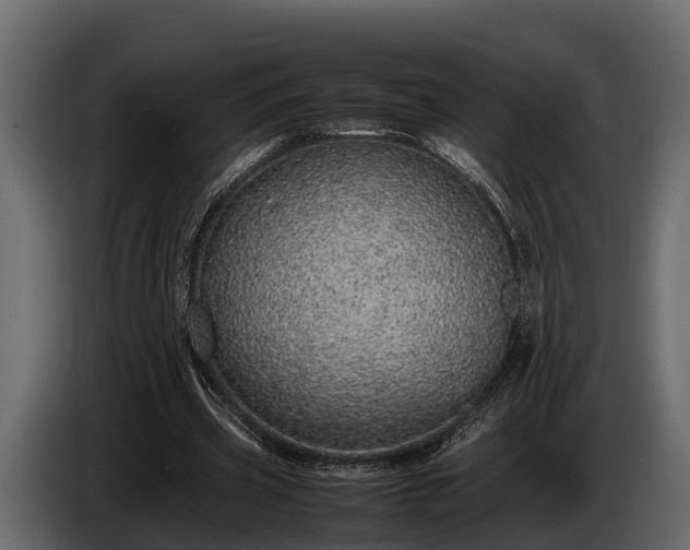 X0000085780533200703231248