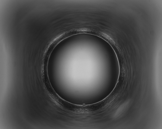 X0000085780535200703231248