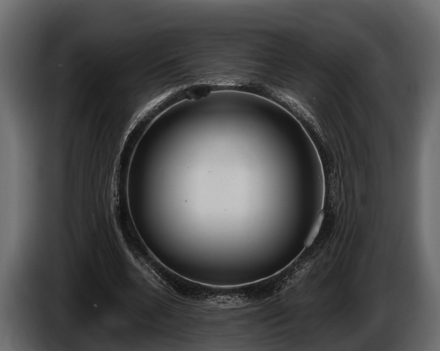 X0000085780536200703231248