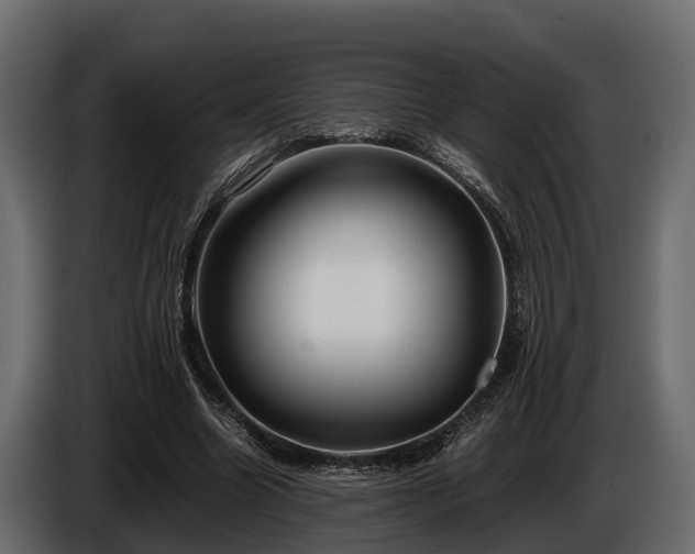 X0000085780538200703231248