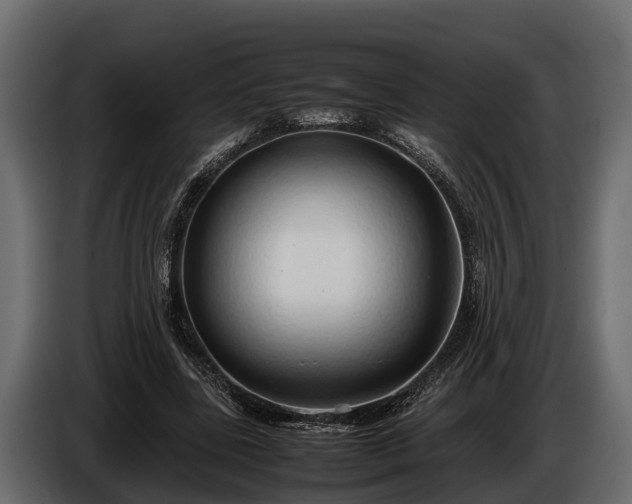 X0000085780539200703231248