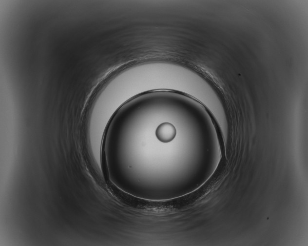 X0000085780540200703231248