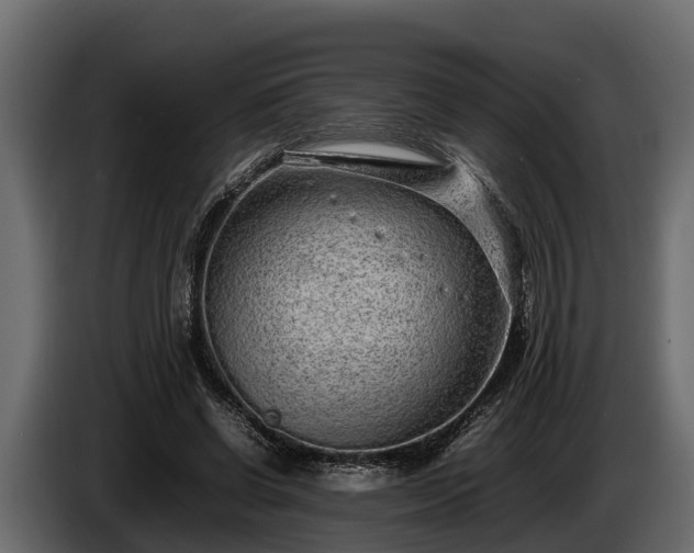 X0000085780542200703231248