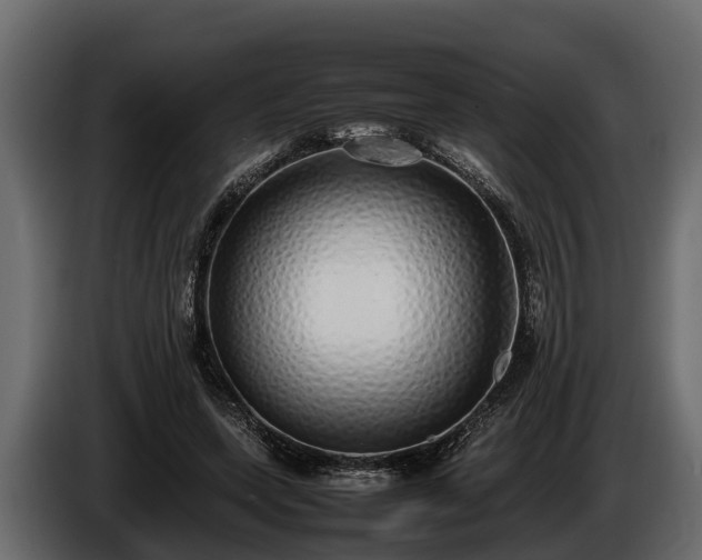 X0000085780543200703231248