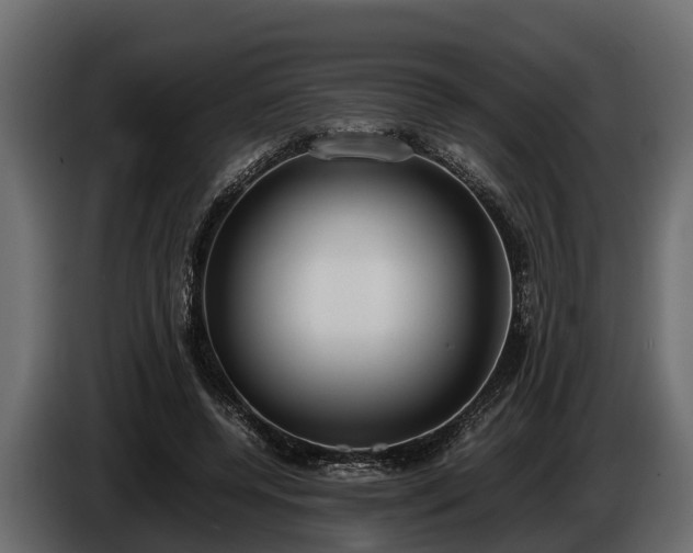 X0000085780544200703231248