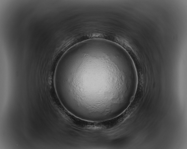 X0000085780545200703231248