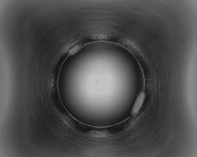 X0000085780548200703231248