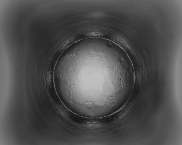 X0000085780549200703231248