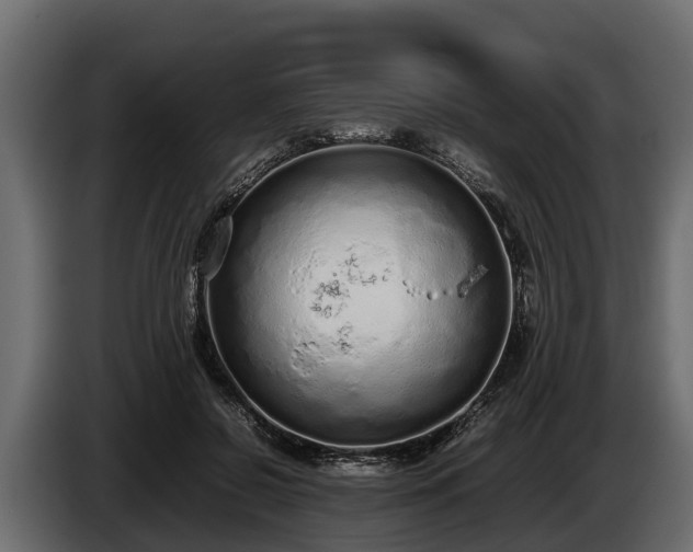 X0000085780550200703231248