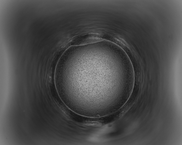 X0000085780553200703231248