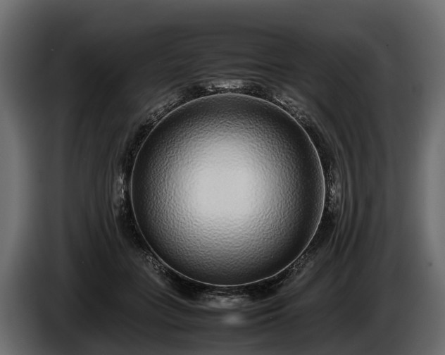 X0000085780555200703231248