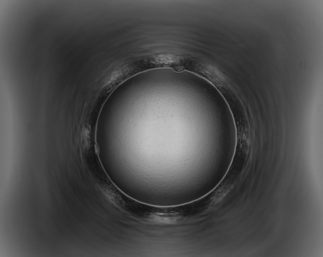 X0000085780556200703231248