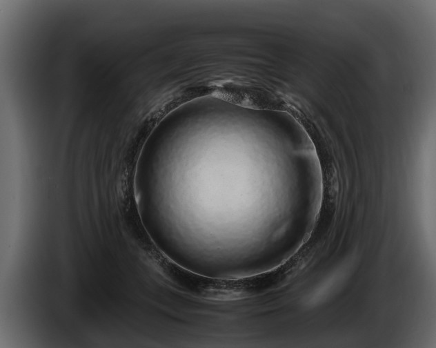 X0000085780559200703231248