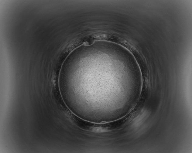 X0000085780561200703231248