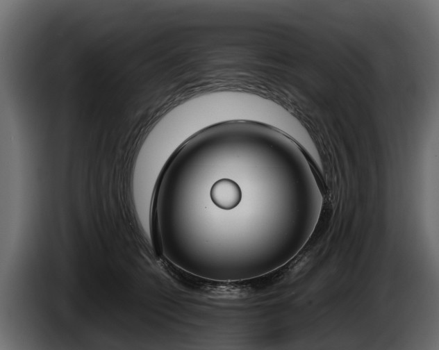 X0000085780562200703231248