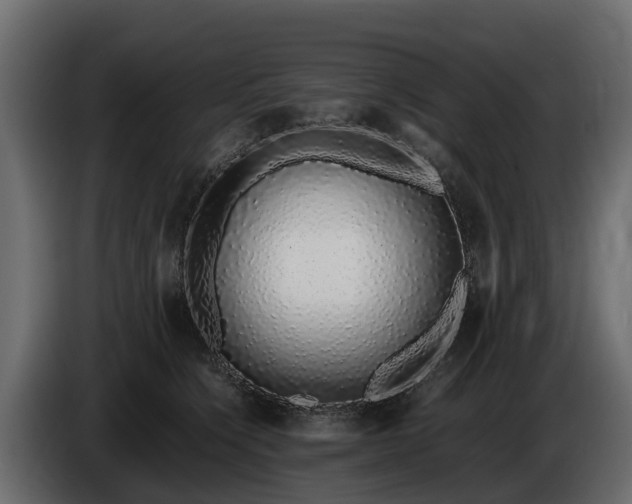 X0000085780564200703231248