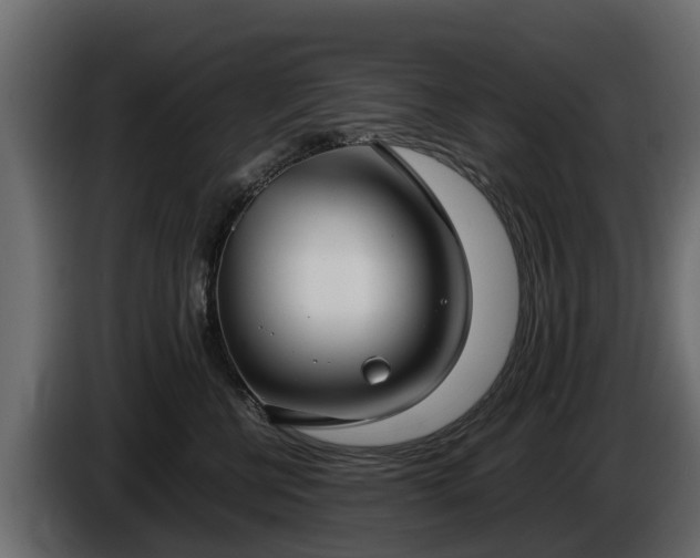 X0000085780570200703231248