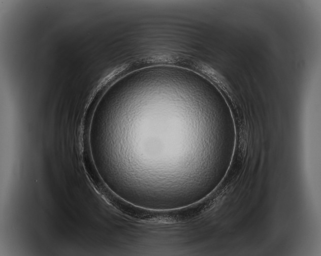 X0000085780578200703231248