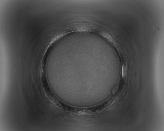 X0000085780579200703231248