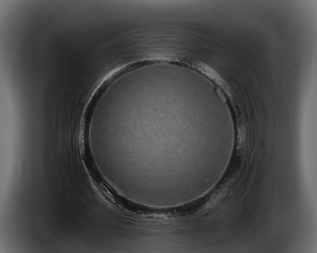 X0000085780580200703231248