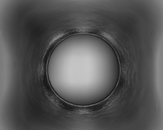 X0000085780583200703231248