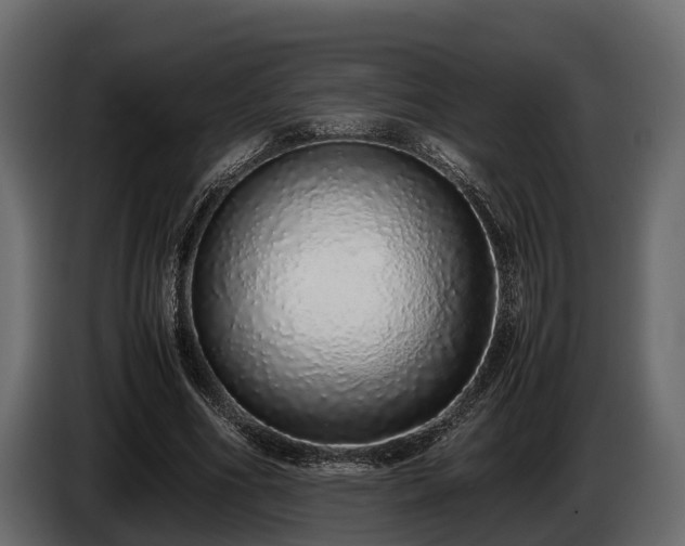 X0000085780586200703231248