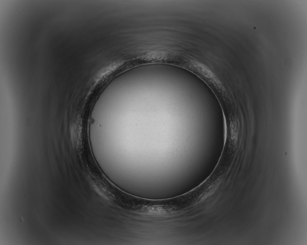 X0000085780588200703231248