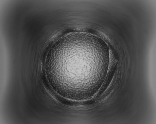 X0000085780589200703231248