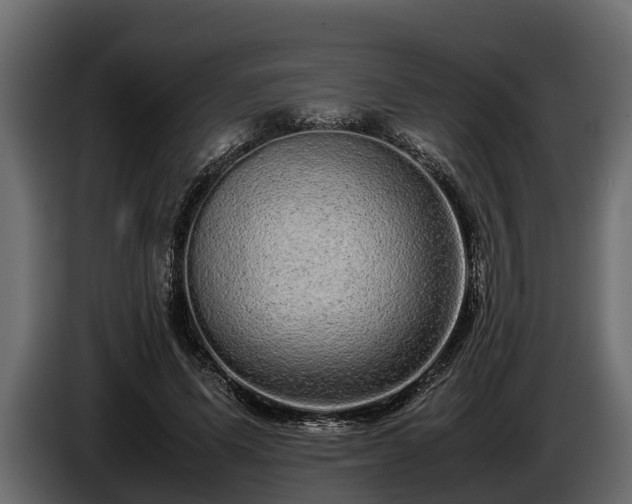 X0000085780591200703231248