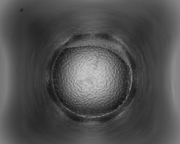 X0000085780593200703231248