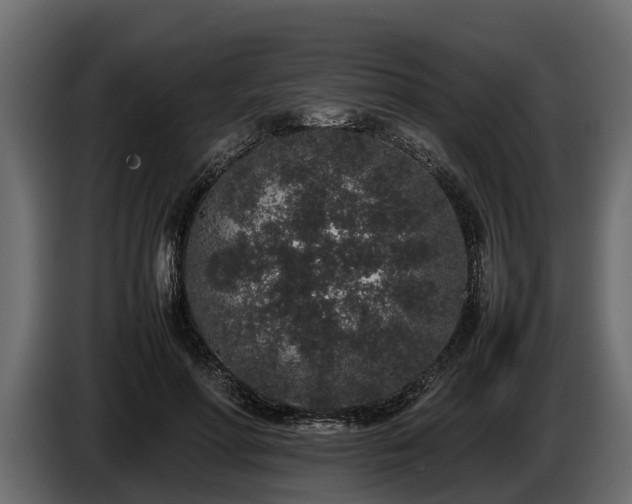 X0000085780598200703231247