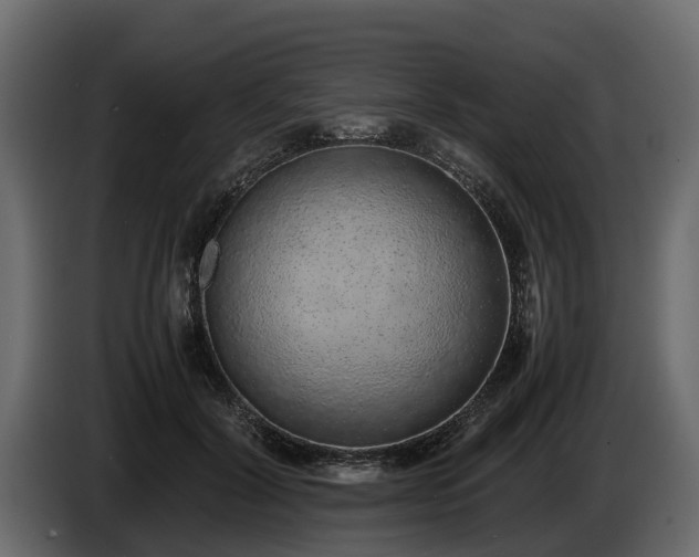 X0000085780604200703231247