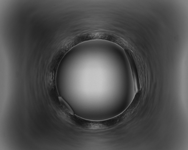 X0000085780605200703231247