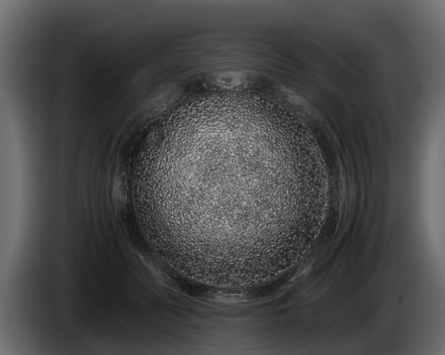 X0000085780606200703231247