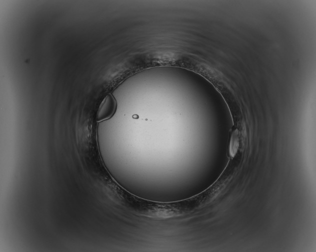 X0000085780608200703231247