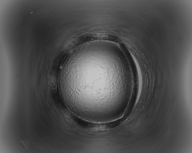 X0000085780609200703231247